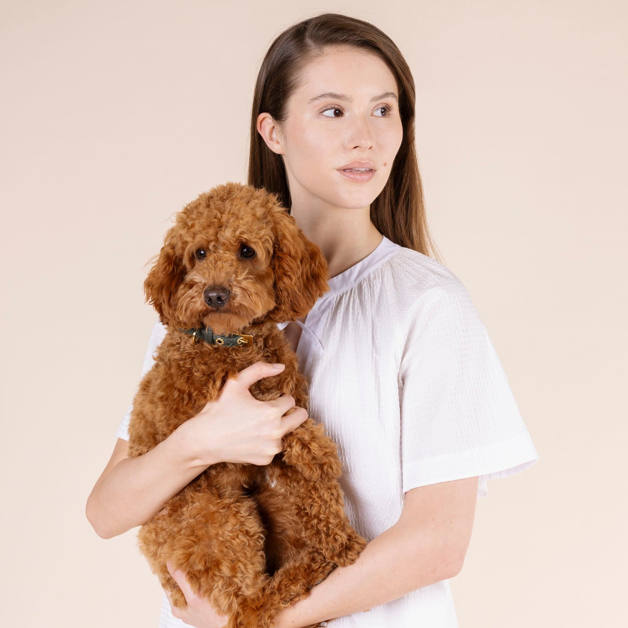 William Walker Leder Hundehalsband Prestige Forest (Waldgrün)