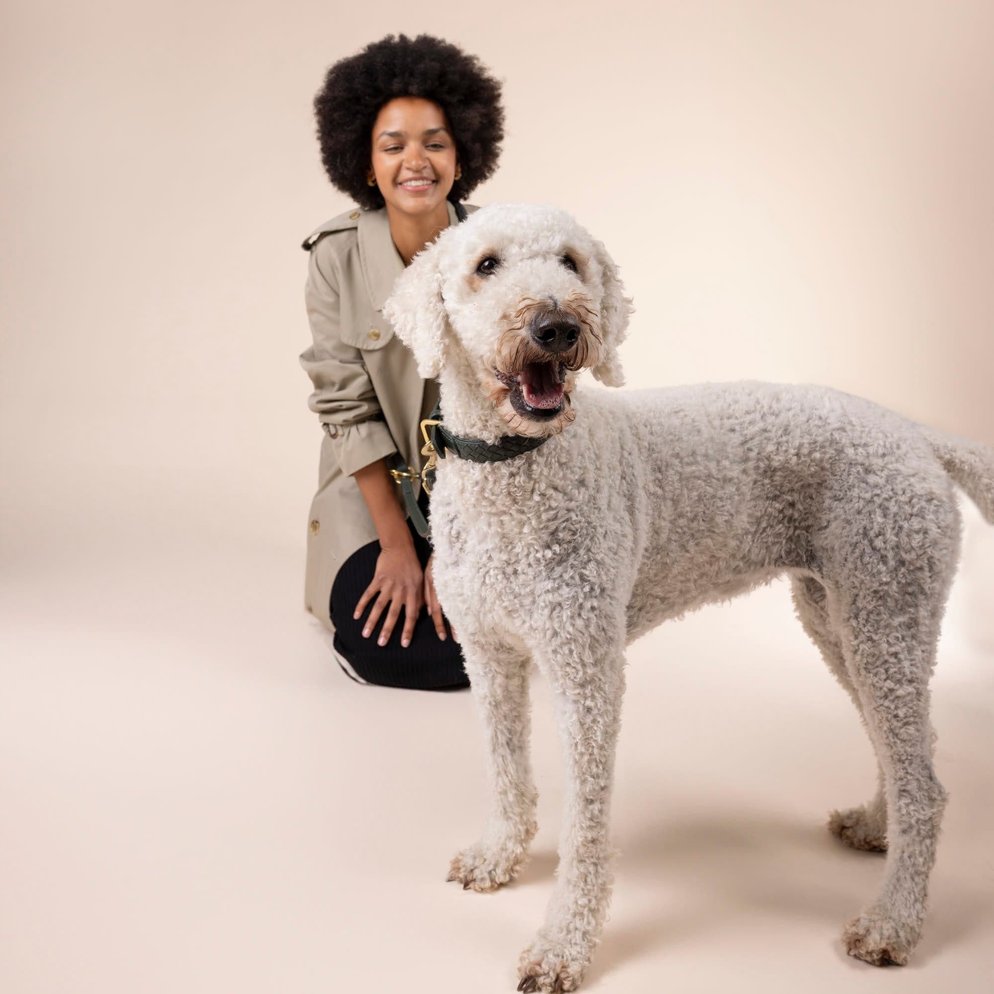 William Walker Leder Hundehalsband Prestige Forest (Waldgrün)