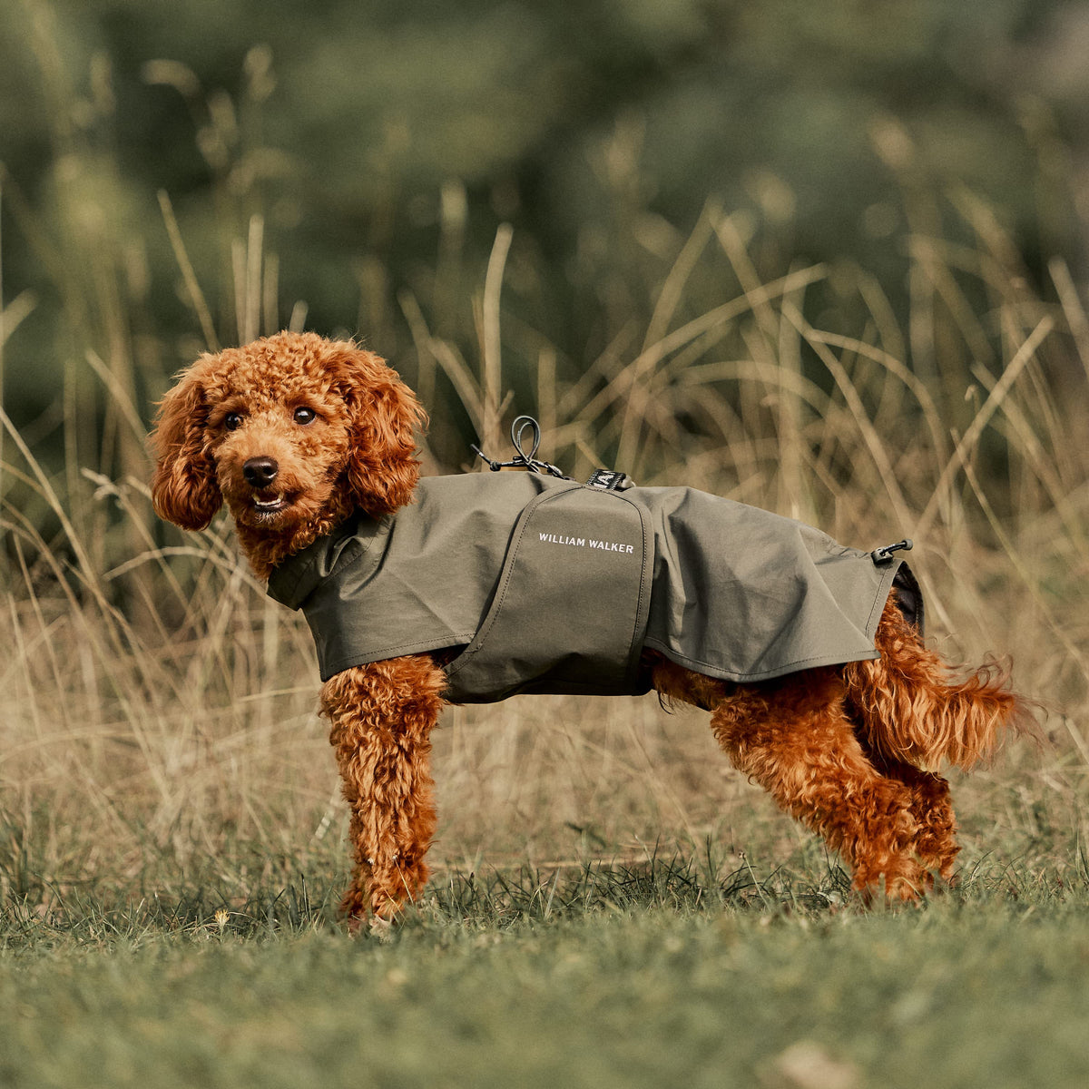 William Walker Imperméable pour chien Harbour