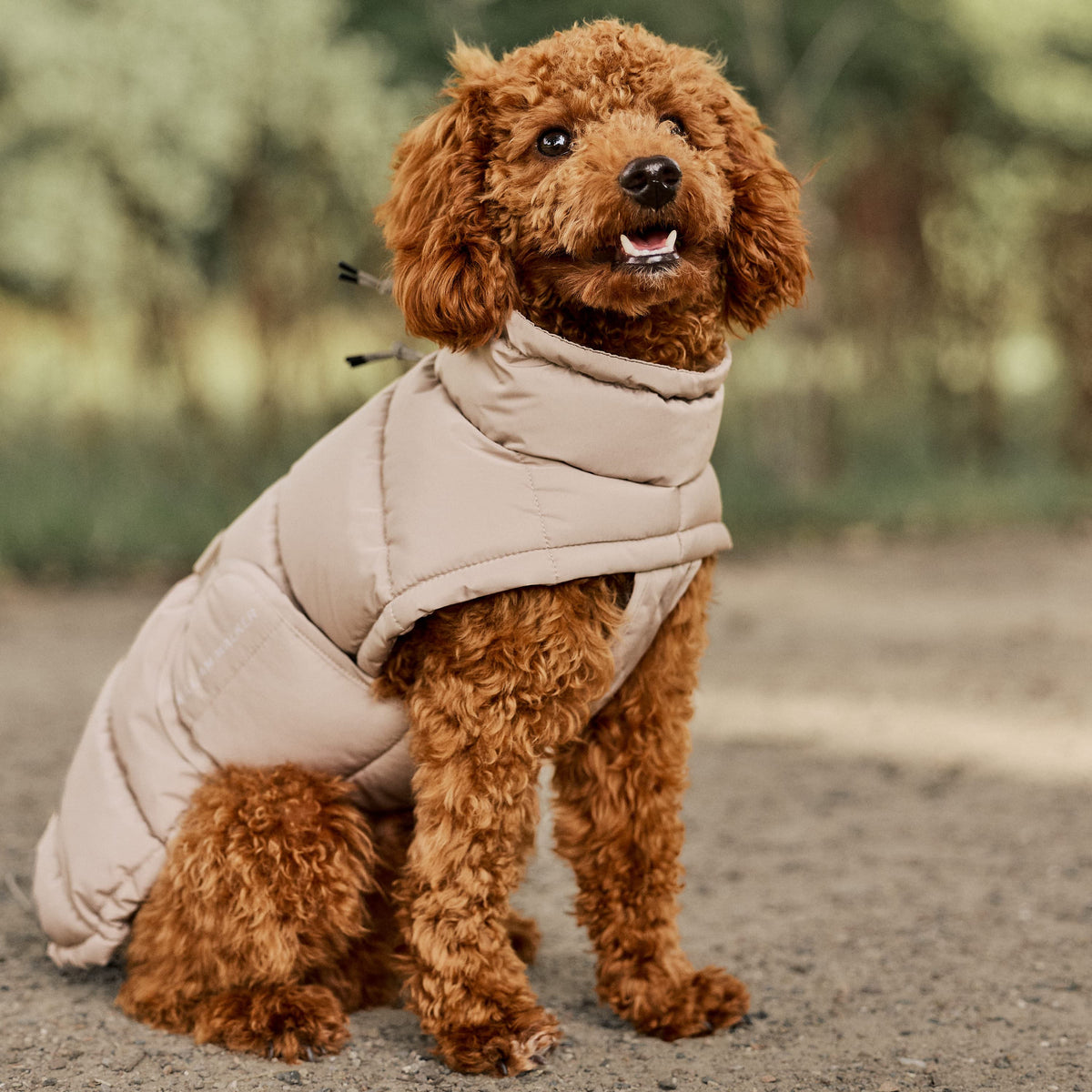 William Walker Manteau d'hiver chaud pour chien Alpine