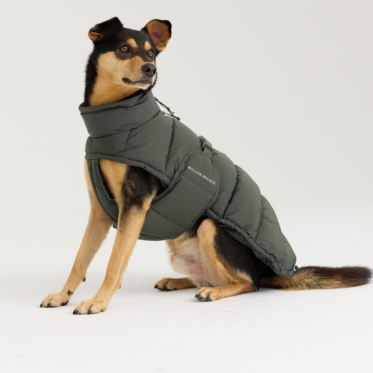 William Walker Manteau d'hiver chaud pour chien Alpine