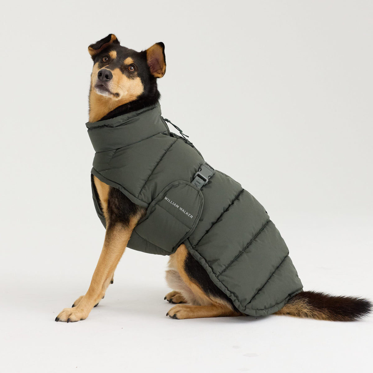 William Walker Manteau d'hiver chaud pour chien Alpine