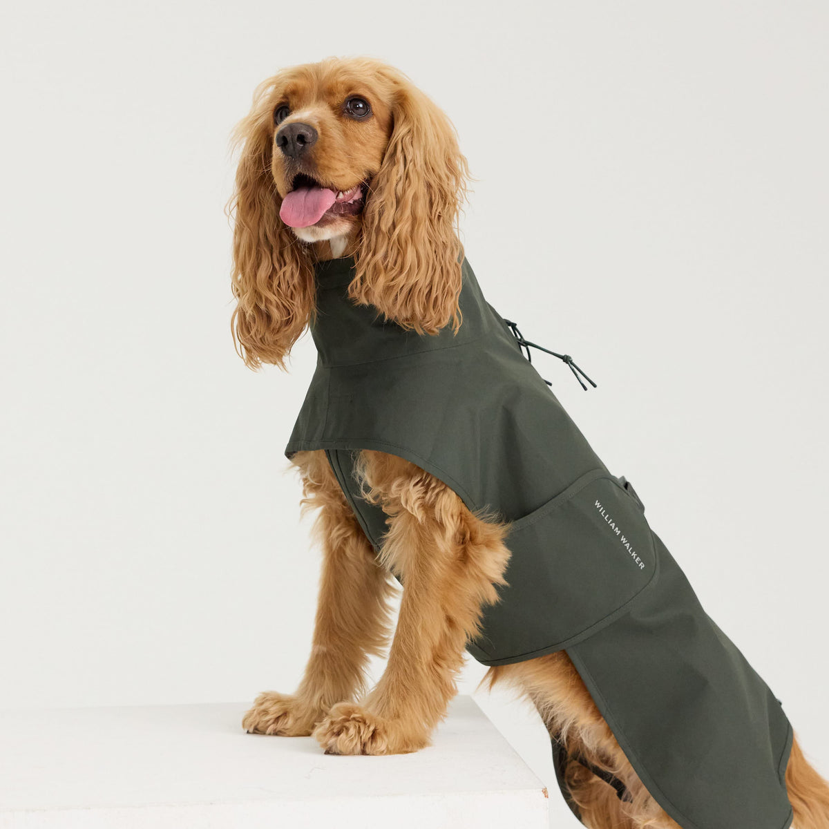 William Walker Imperméable pour chien Harbour