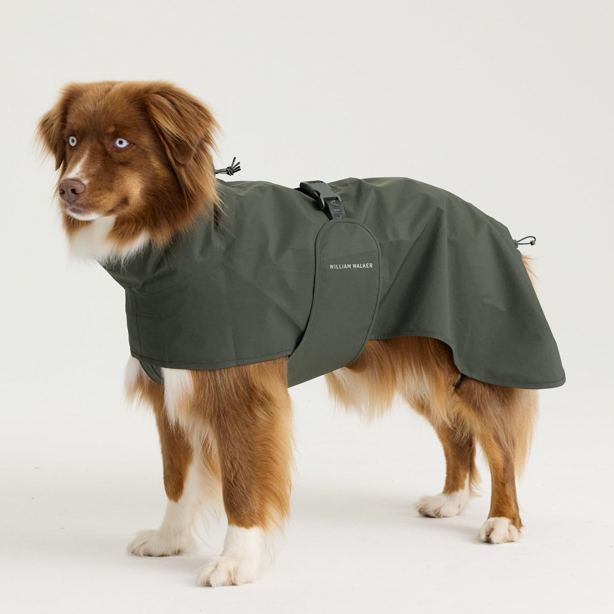 William Walker Imperméable pour chien Harbour