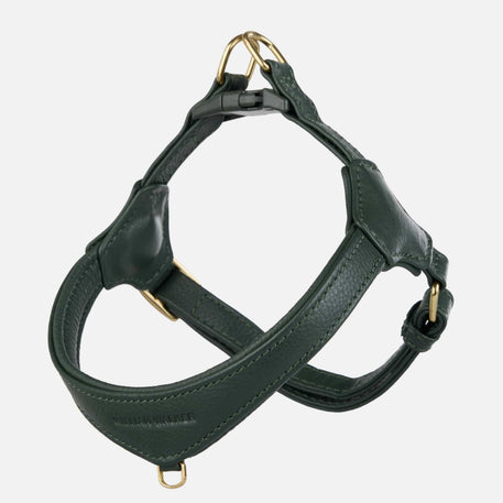 William Walker Harnais en Y pour chien cuir Pico pour petits chiens Dark Moss / 1