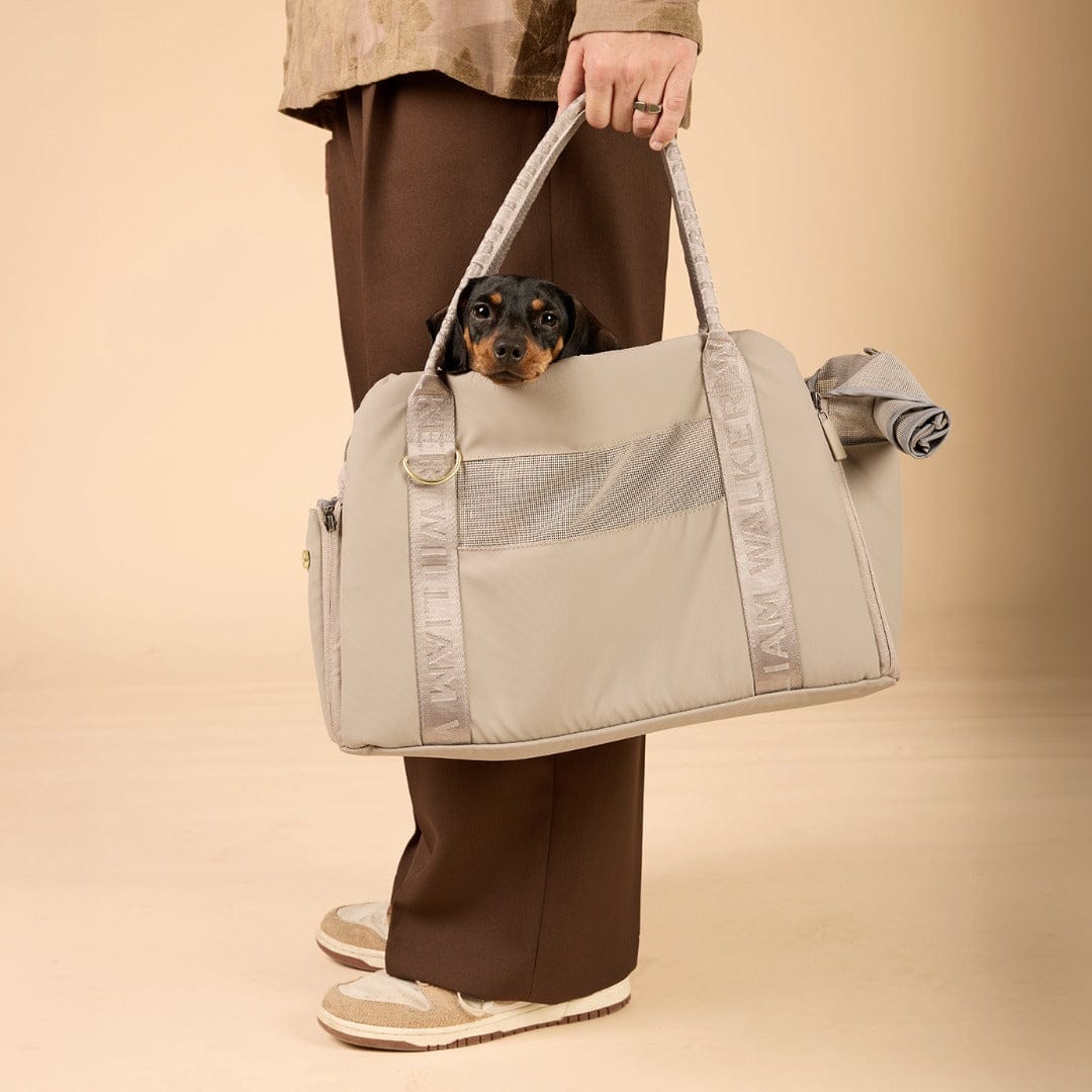 William Walker Hundetragetasche fürs Flugzeug Cloud Summit