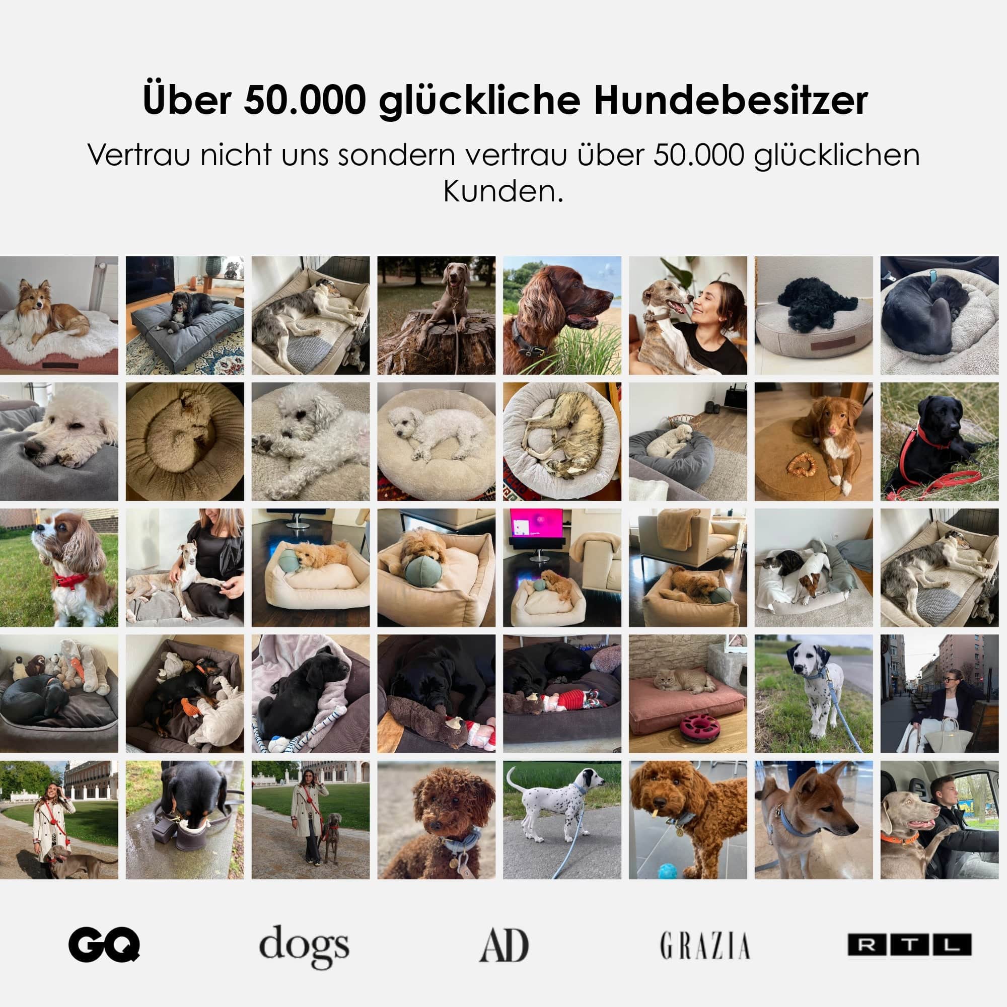 William Walker Orthopädisches Hundebett Plain