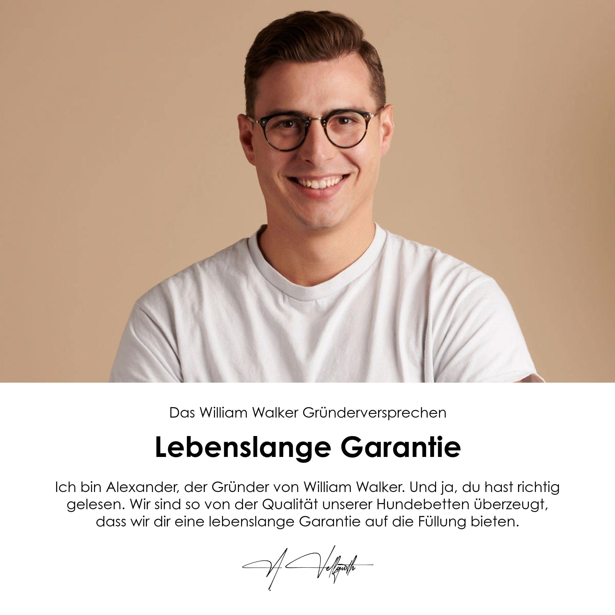 William Walker Orthopädisches Hundebett Plain