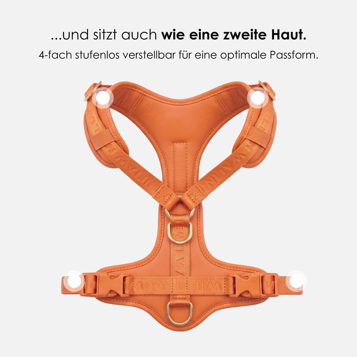 William Walker Hochwertiges Leder Y-Hundegeschirr Plain