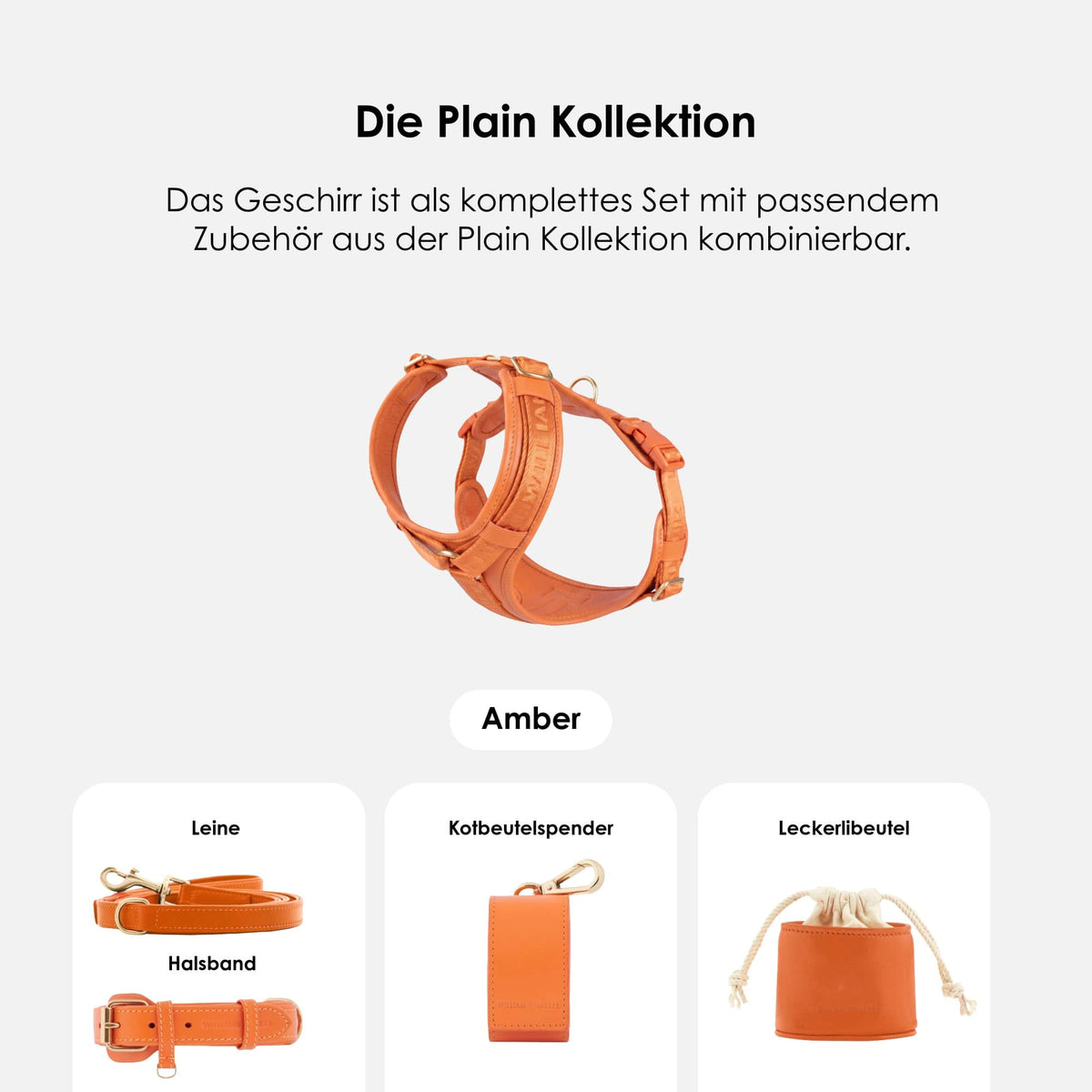 William Walker Hochwertiges Leder Y-Hundegeschirr Plain