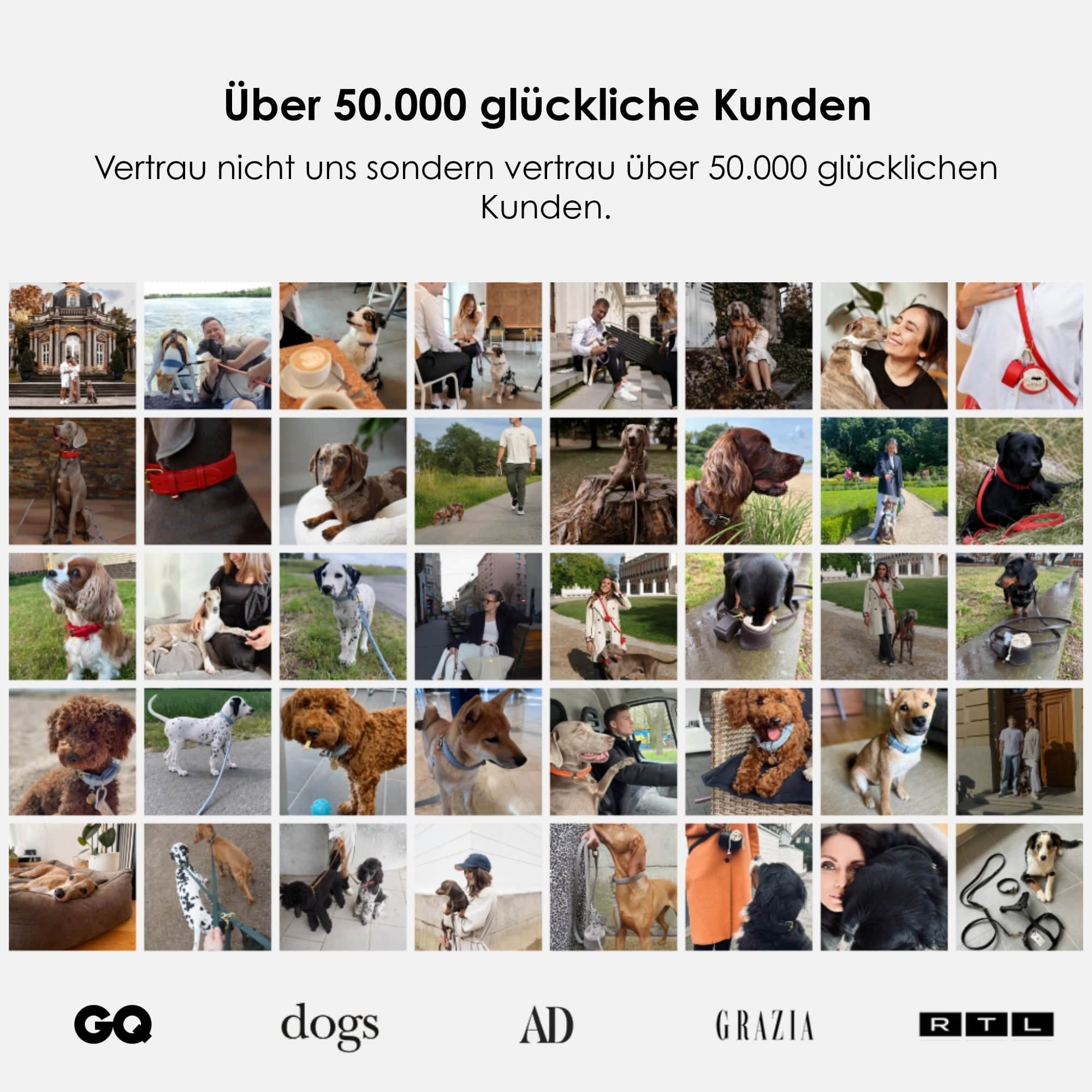 William Walker Hochwertige Leder Hundeleine Dark Moss (Waldgrün)