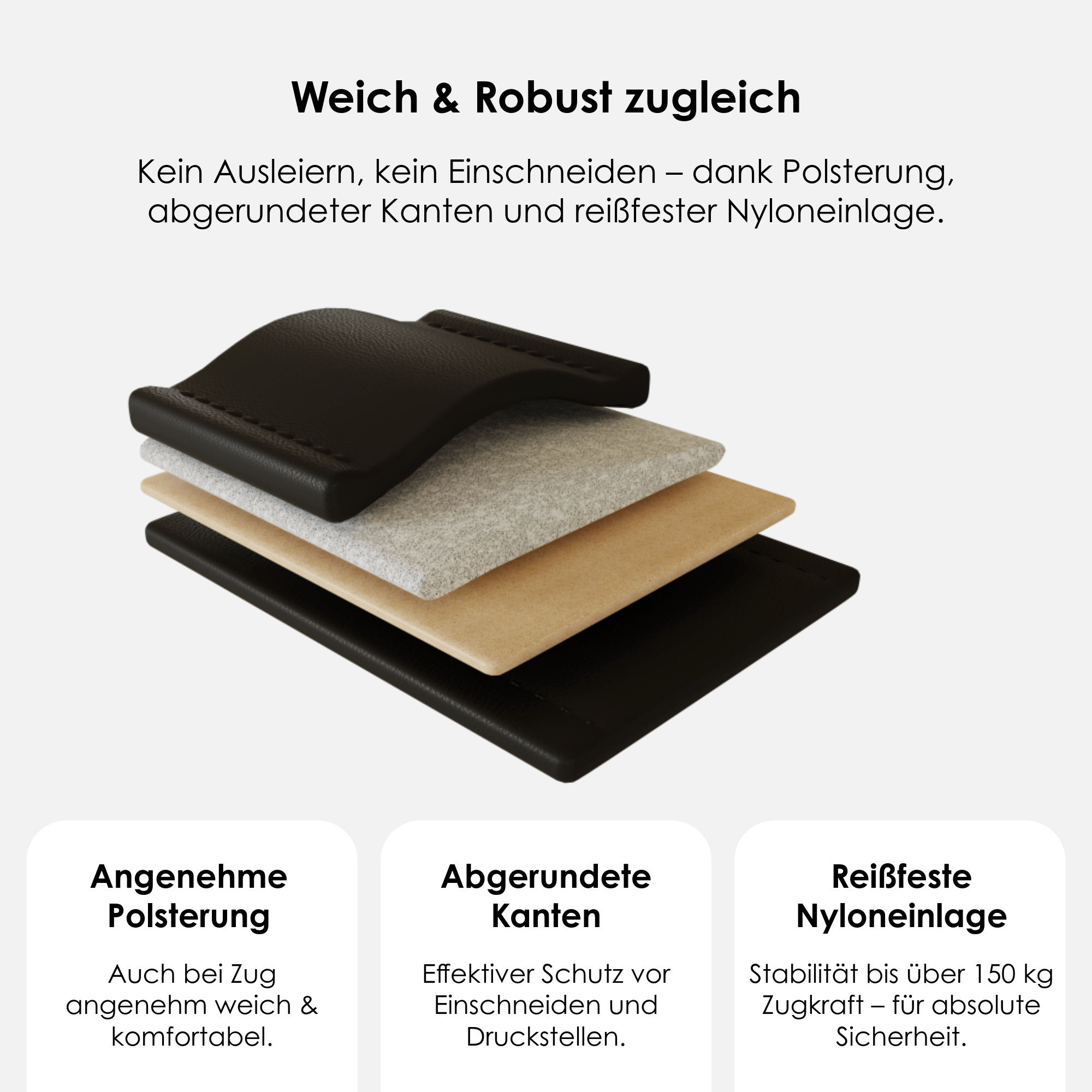 William Walker Hochwertige Leder Hundeleine Noir (Schwarz)