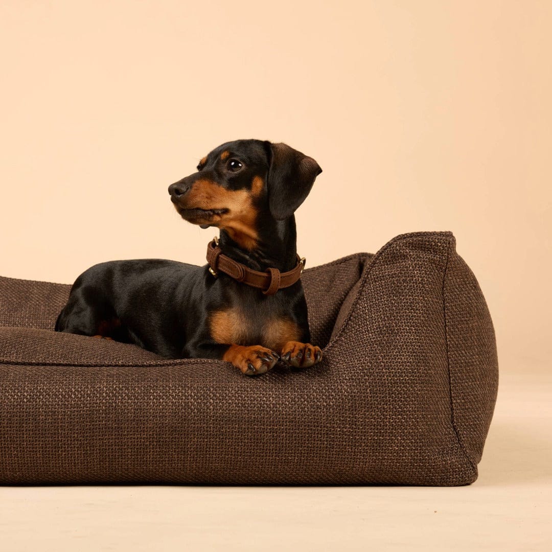 William Walker Orthopädisches Hundebett Luxe