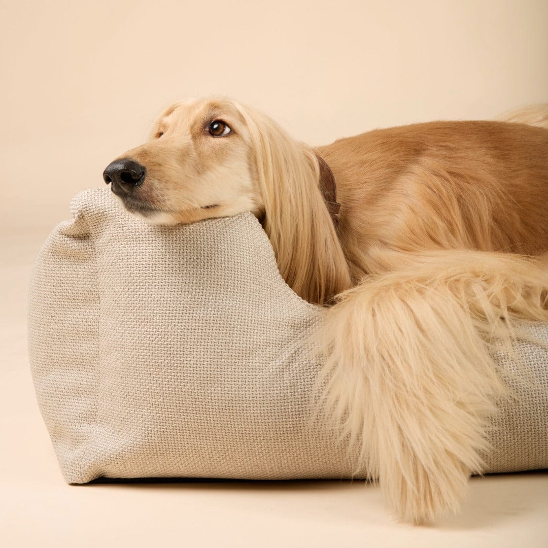 William Walker Orthopädisches Hundebett Luxe