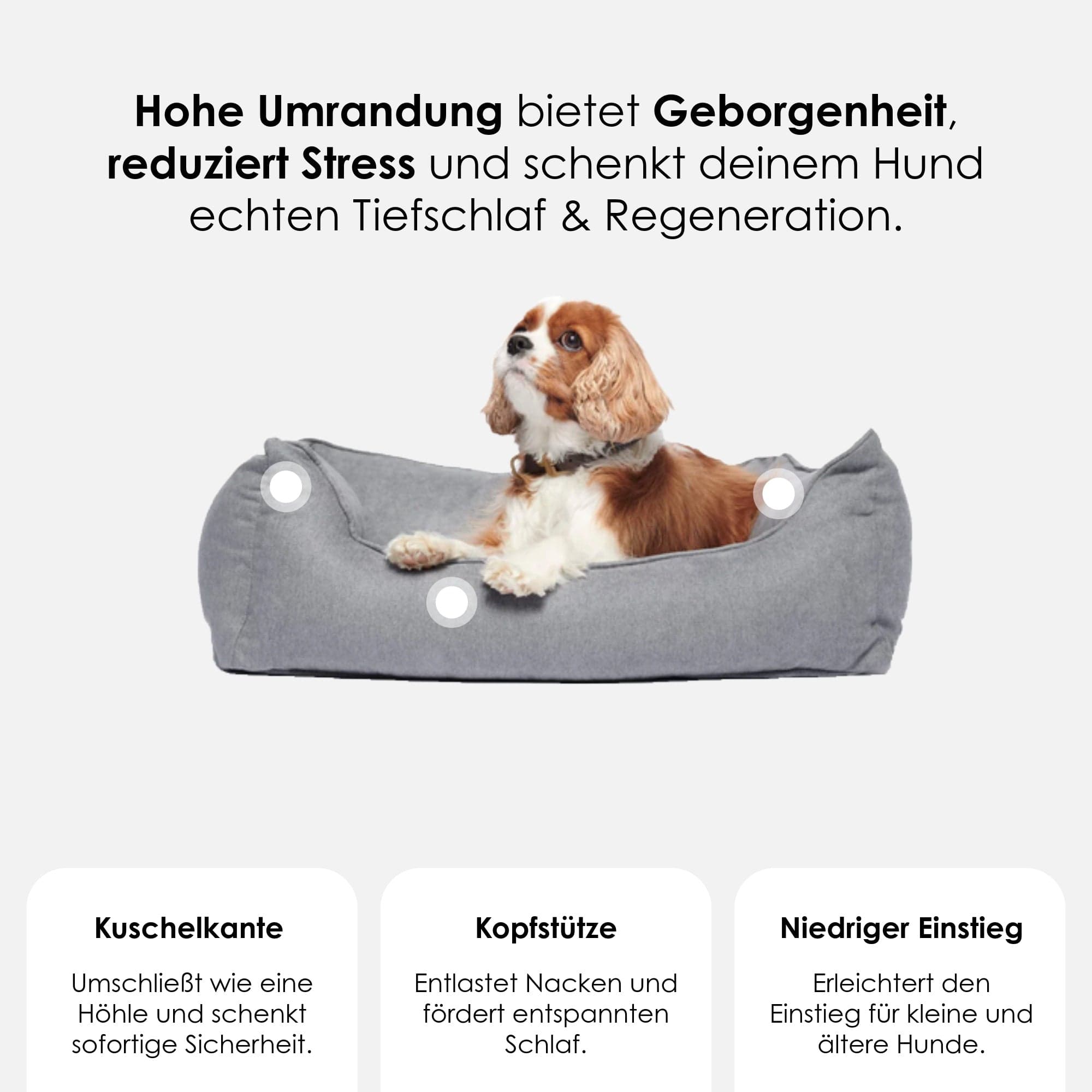 William Walker Orthopädisches Hundebett The Cloud (Dunkelgrau)