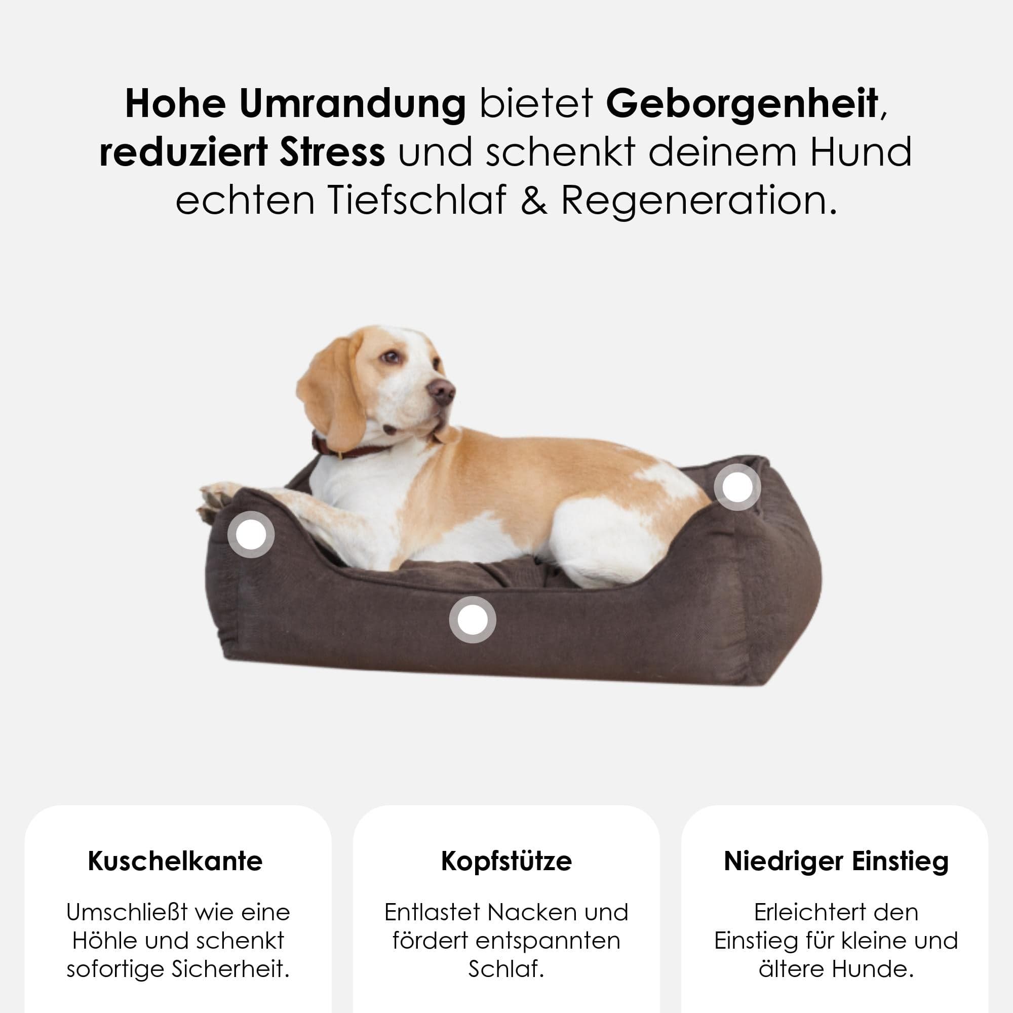 William Walker Orthopädisches Hundebett Wood (Braun)