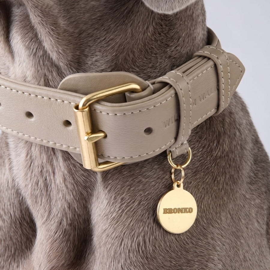 Personaliseerbare ronde messing hondenpenning