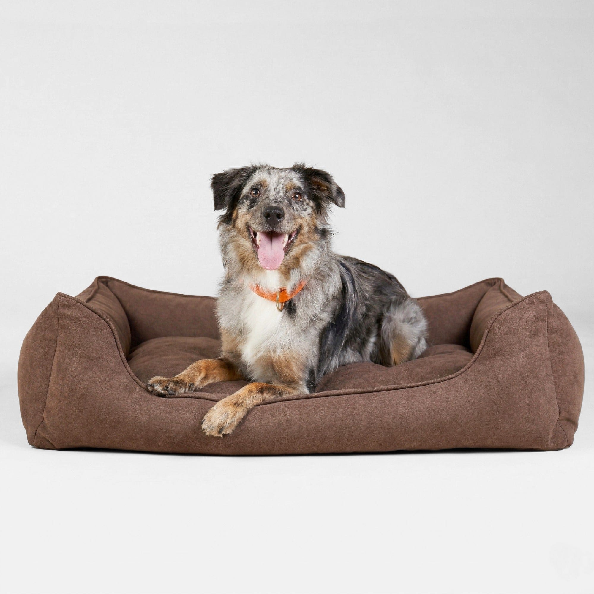 William Walker Orthopädisches Hundebett Plain