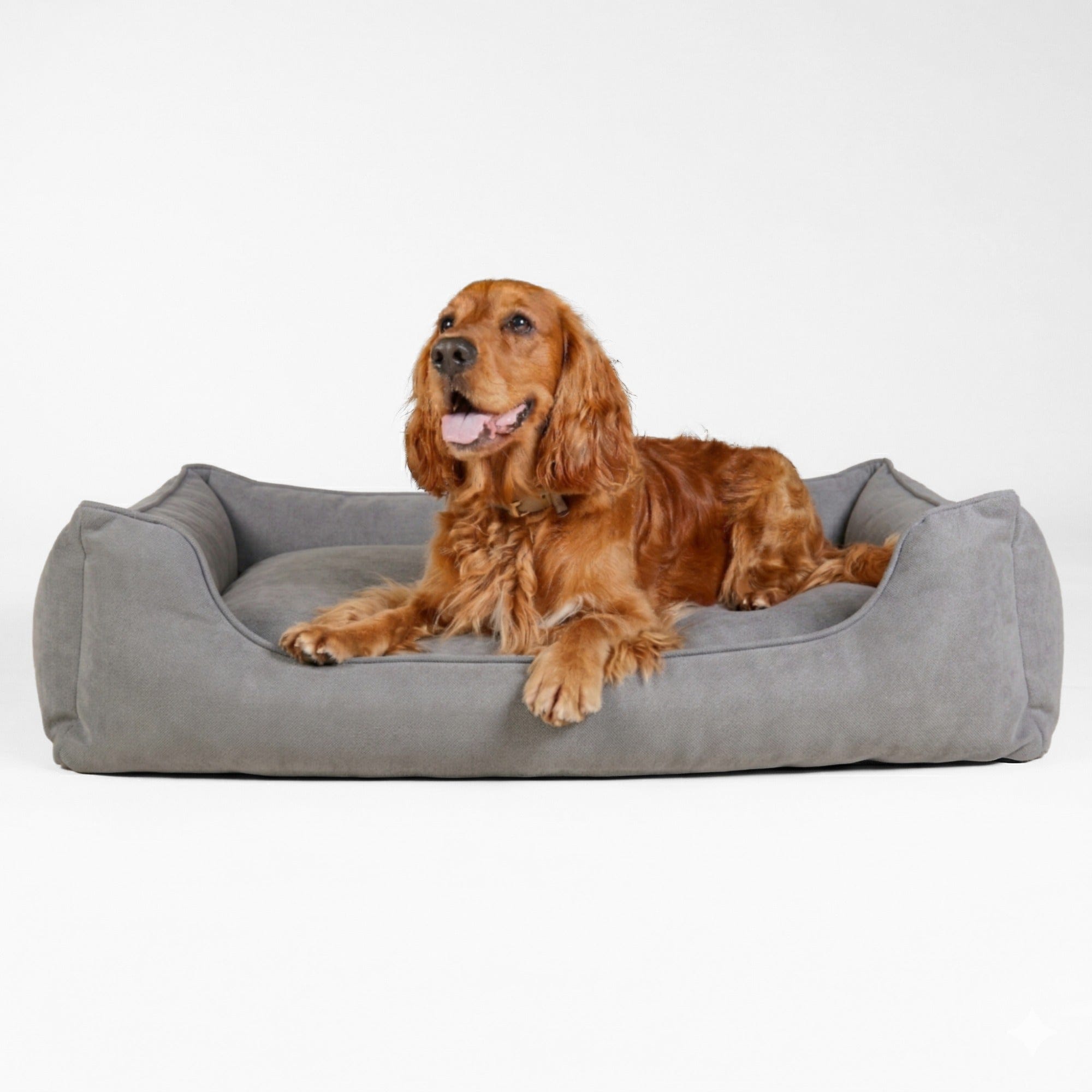 William Walker Orthopädisches Hundebett Plain