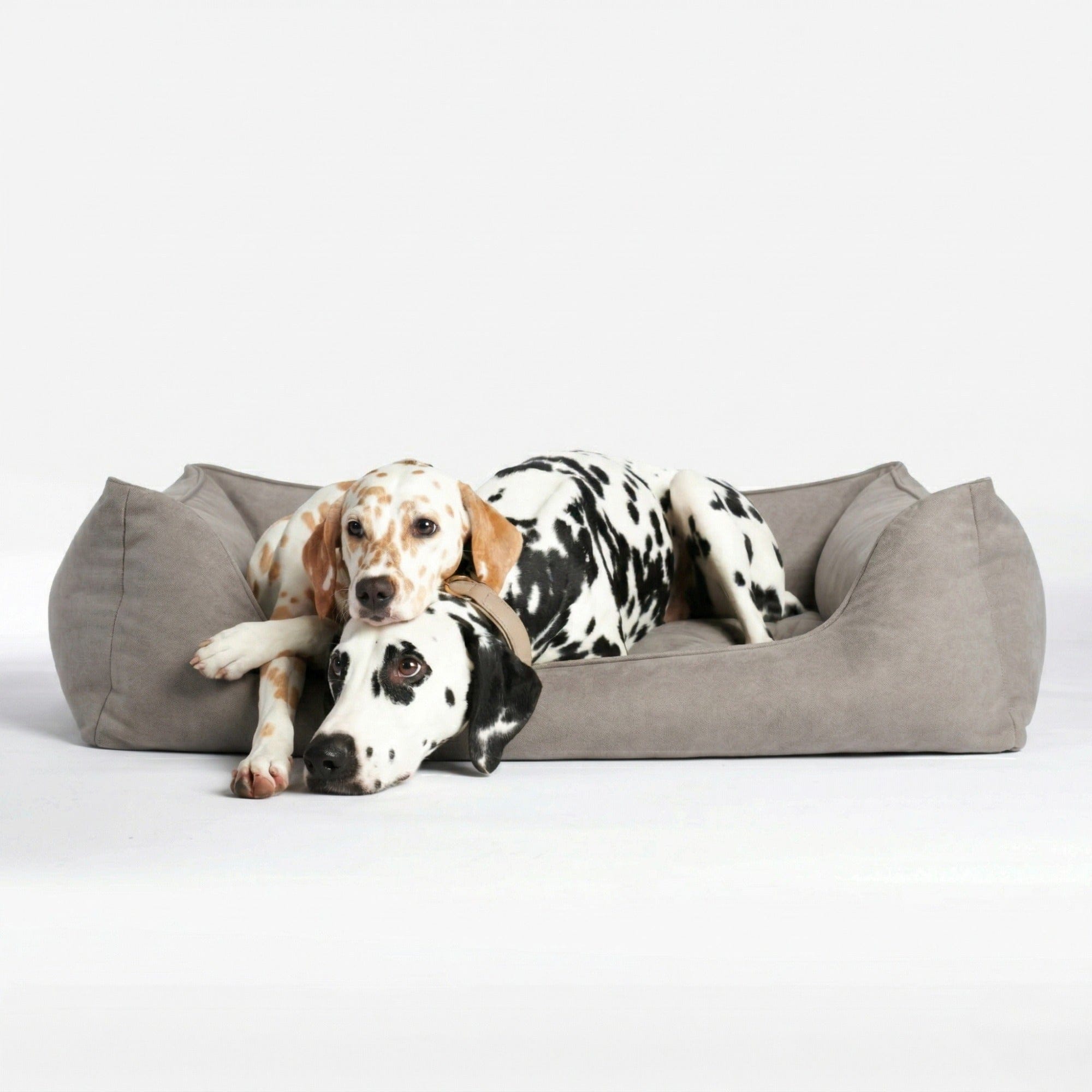 William Walker Orthopädisches Hundebett Plain