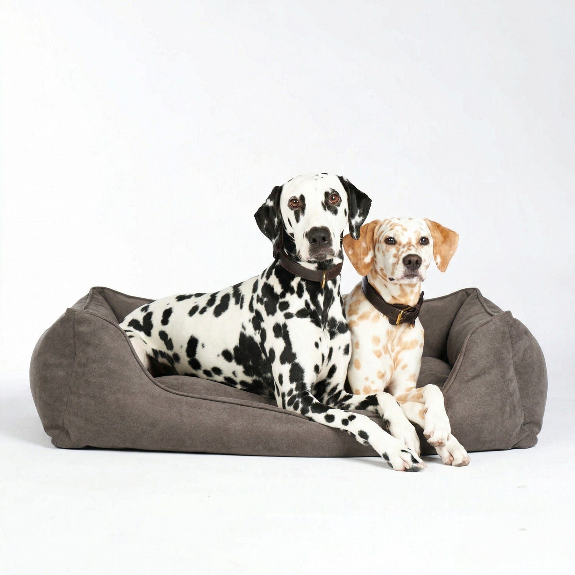 William Walker Orthopädisches Hundebett Plain