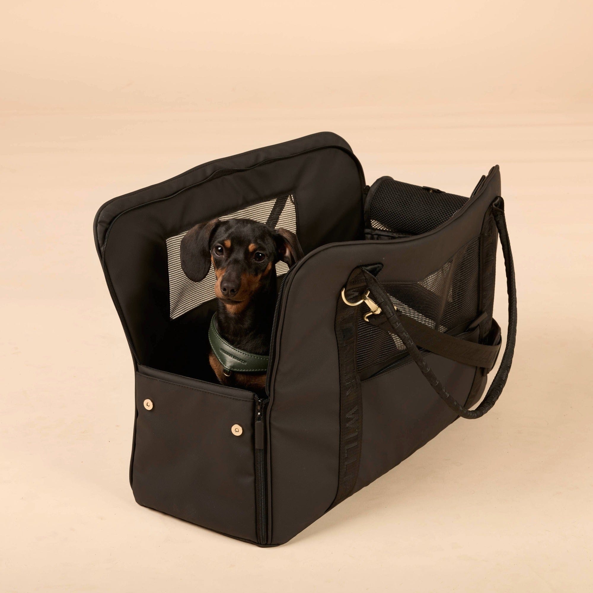 William Walker Hundetragetasche fürs Flugzeug Cloud Summit