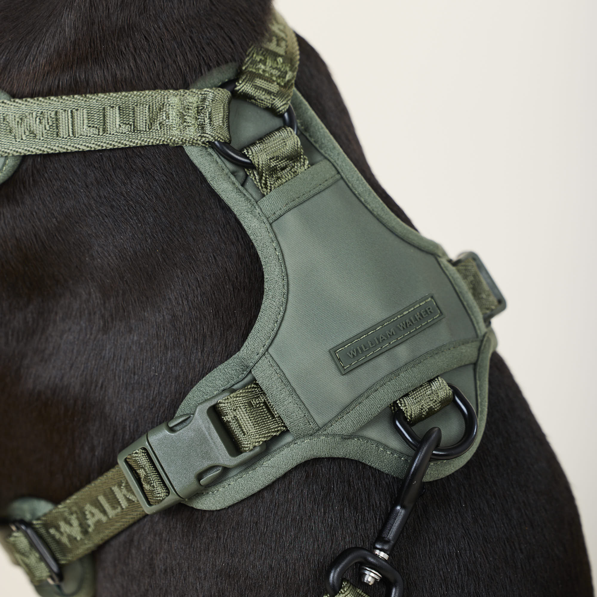 William Walker Hochwertiges Y-Hundegeschirr Forest (grün)