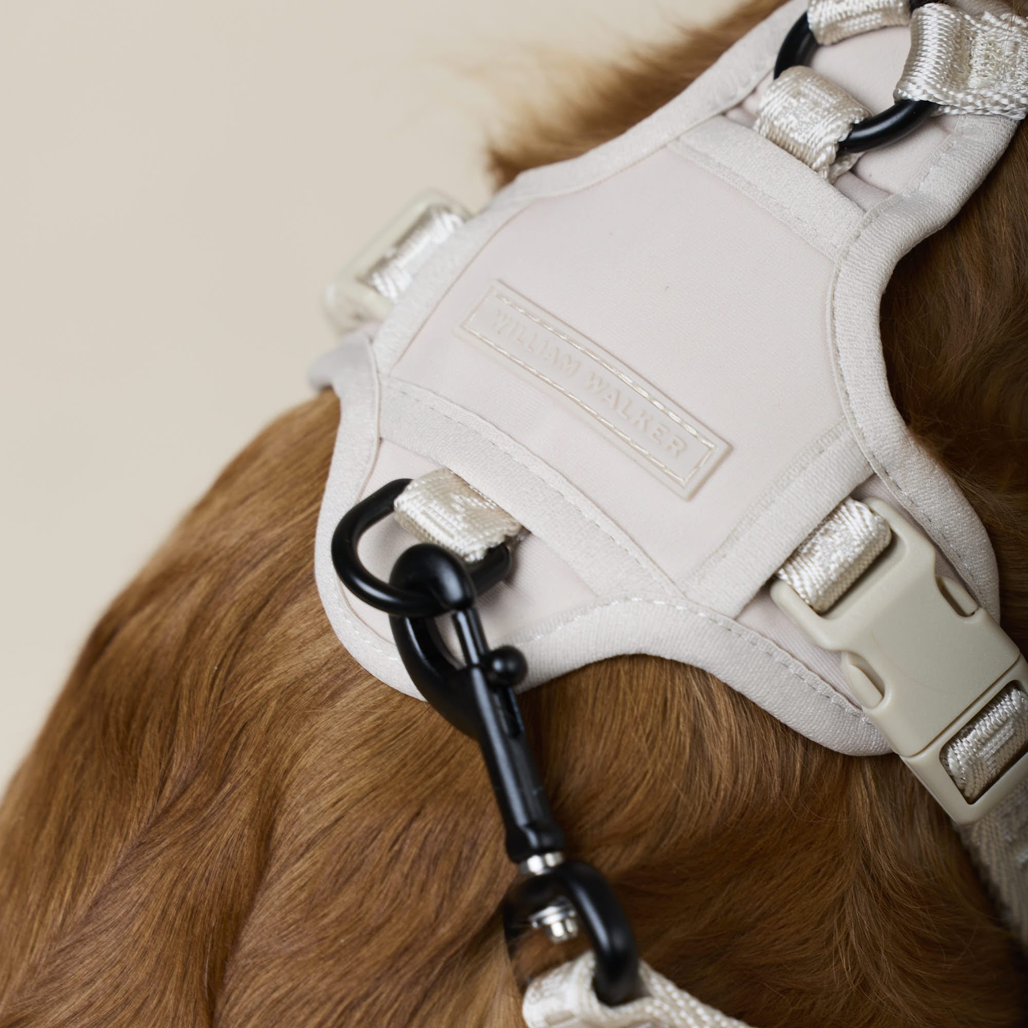 William Walker Hochwertiges Y-Hundegeschirr Sand (beige)