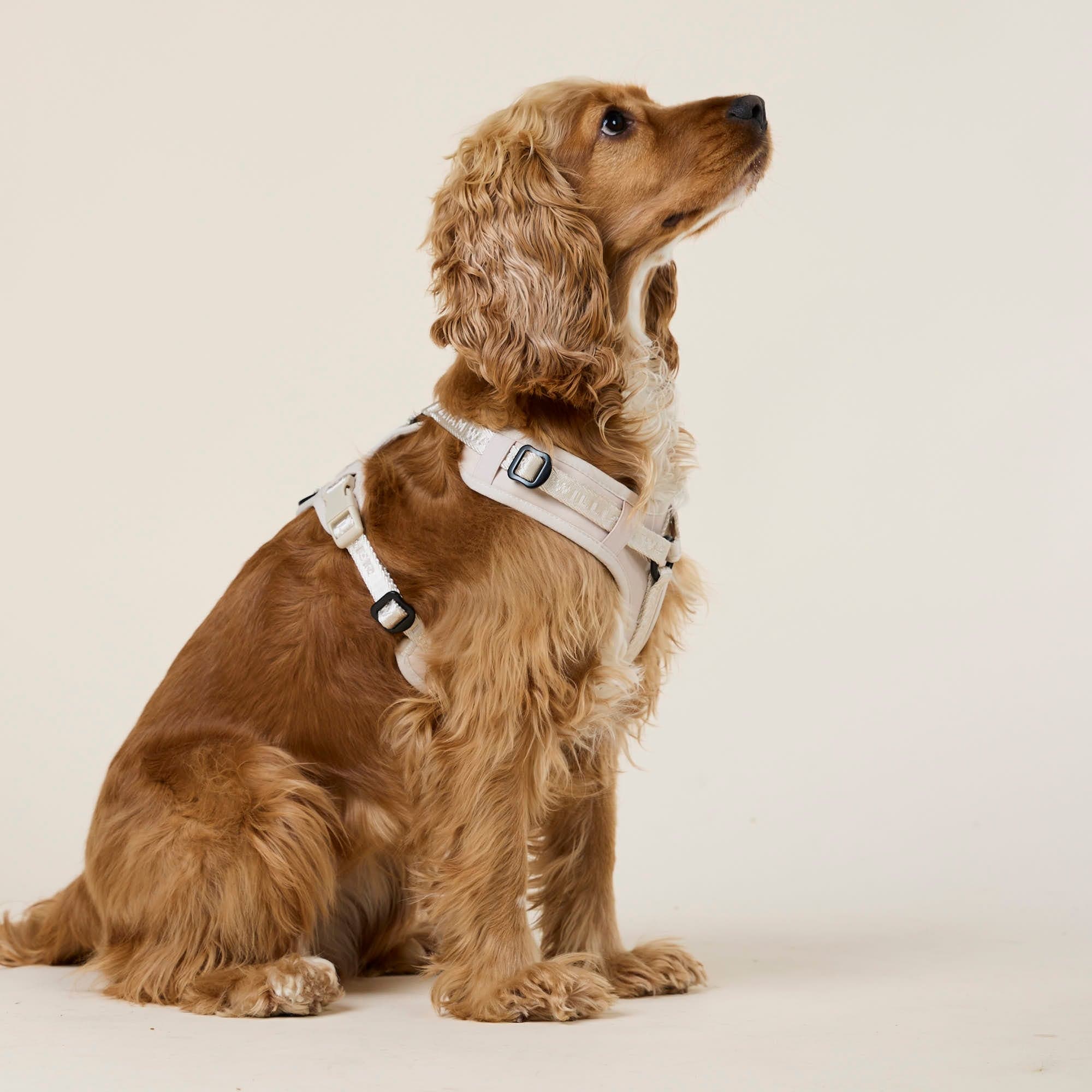 William Walker Hochwertiges Y-Hundegeschirr Sand (beige)