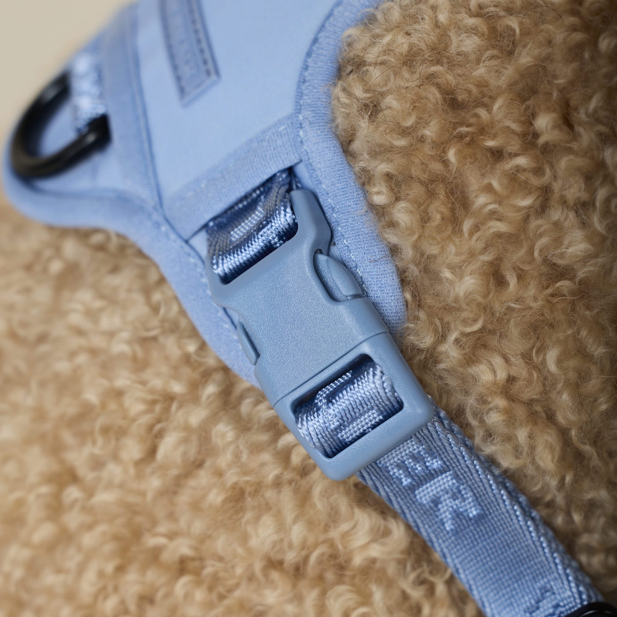 William Walker Hochwertiges Y-Hundegeschirr Sky (blau)