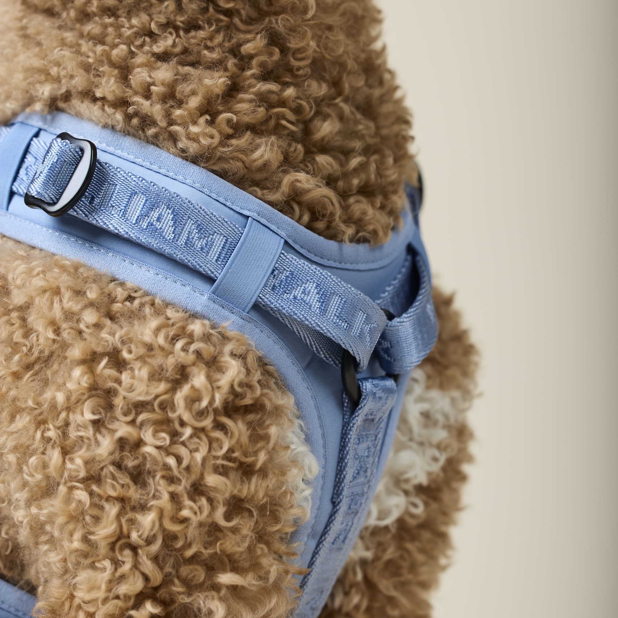 William Walker Hochwertiges Y-Hundegeschirr Sky (blau)