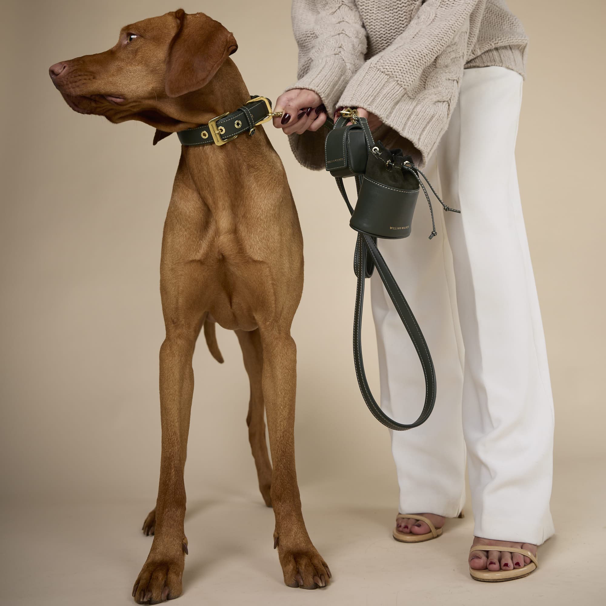 William Walker Luxe Bundle