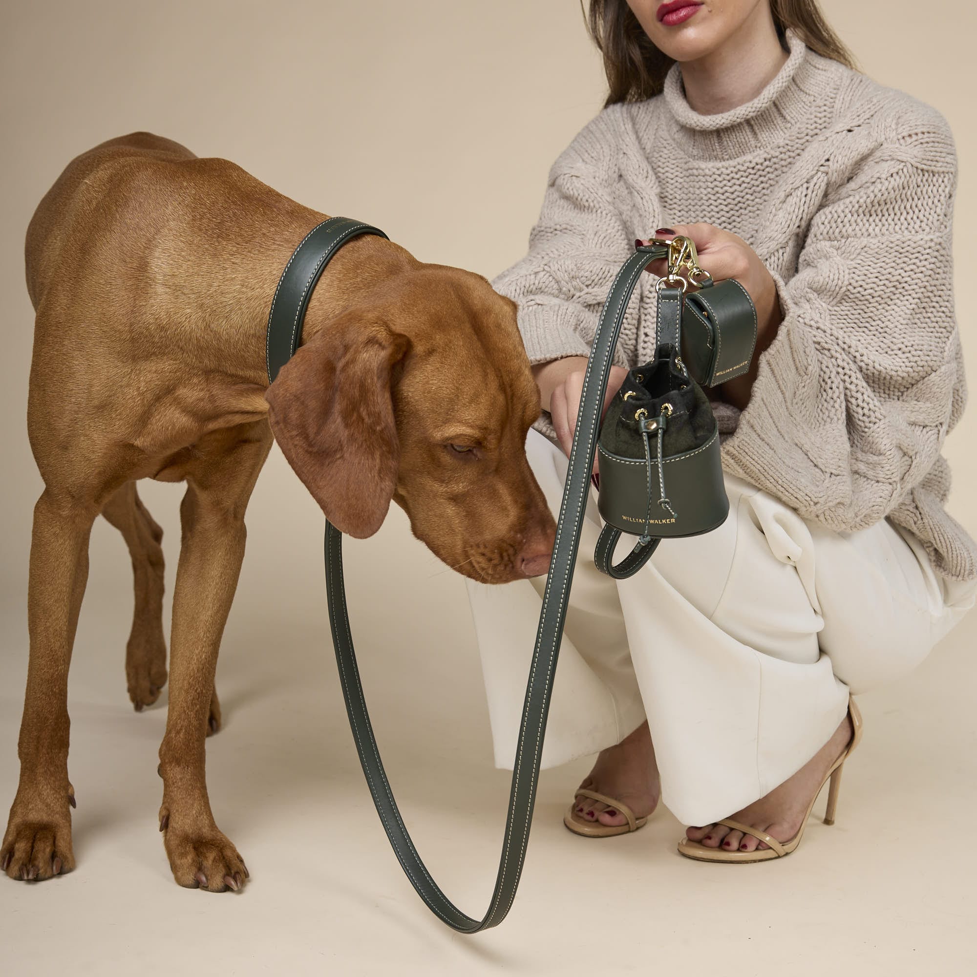 William Walker Hochwertige Glattleder Hundeleine Forest