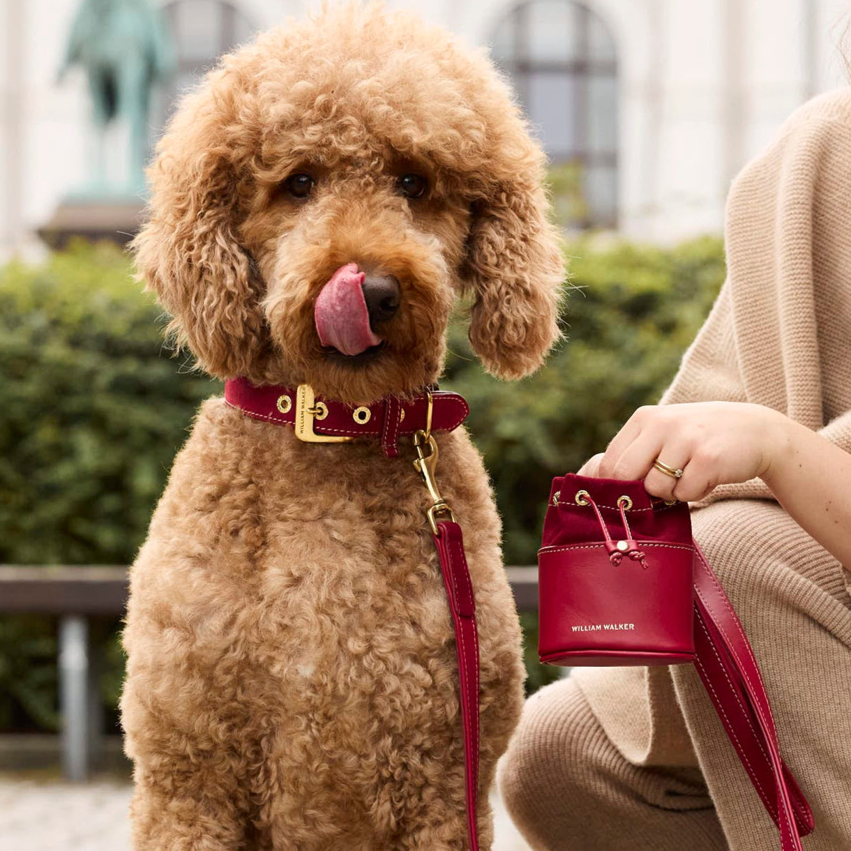 William Walker Leckerlibeutel Lambrusco (Bordeauxrot)