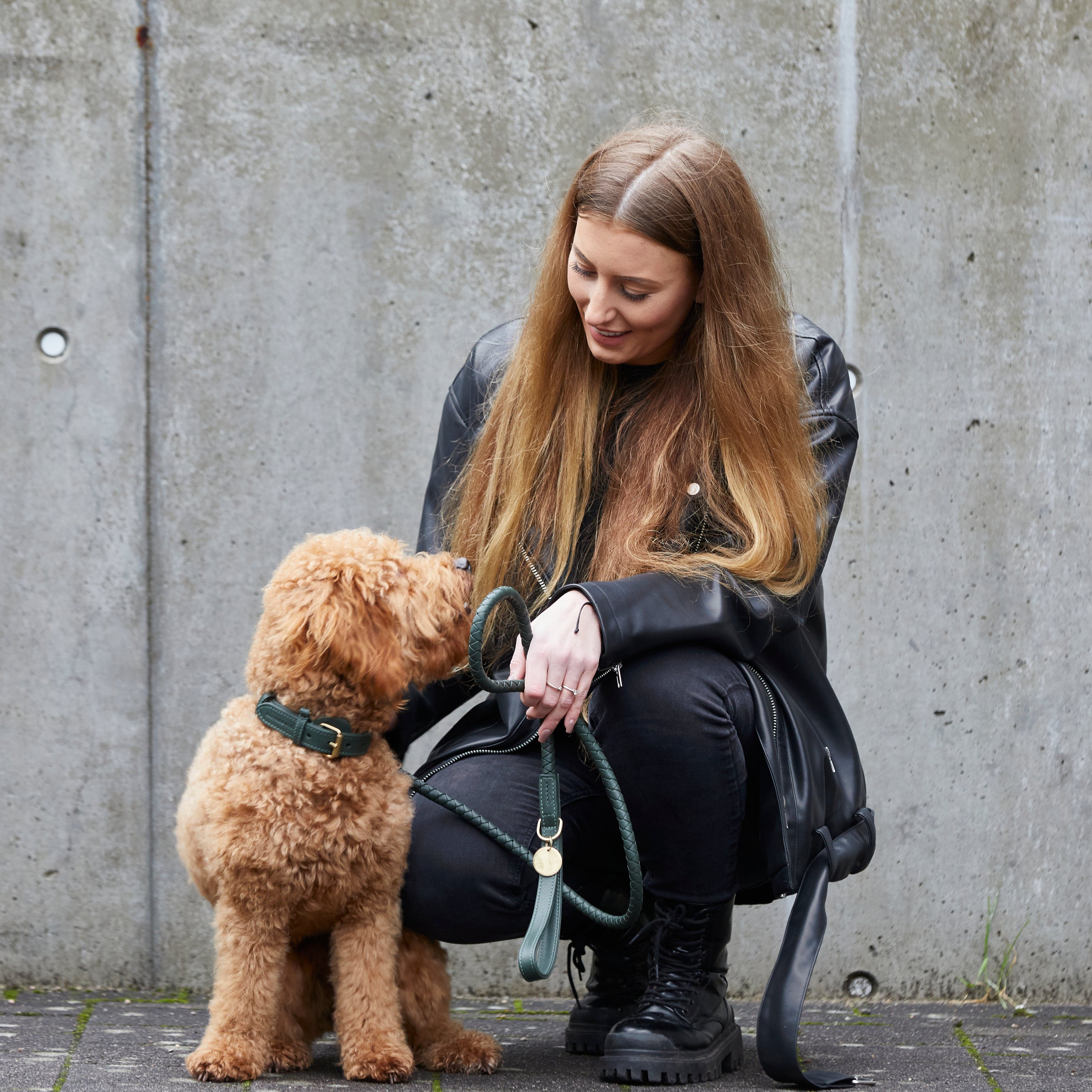 William Walker Hochwertige Leder Hundeleine Twisted Dark Moss (Waldgrün)