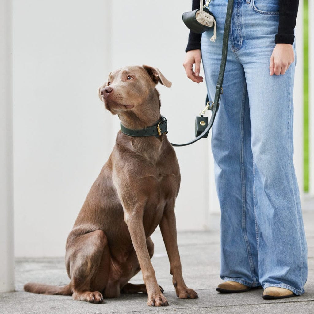 William Walker Plain Bundle Test AV