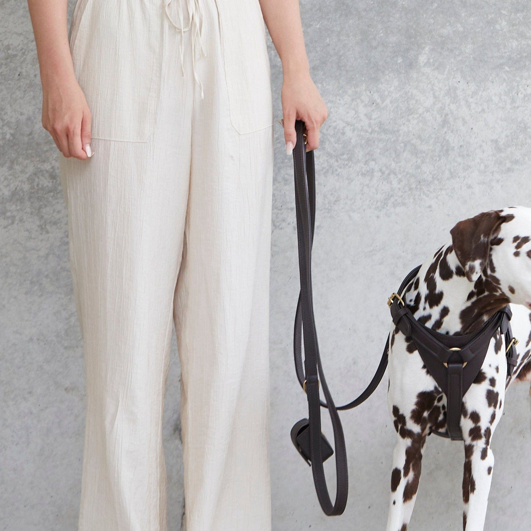 William Walker Hochwertige Leder Hundeleine Earth (Braun)