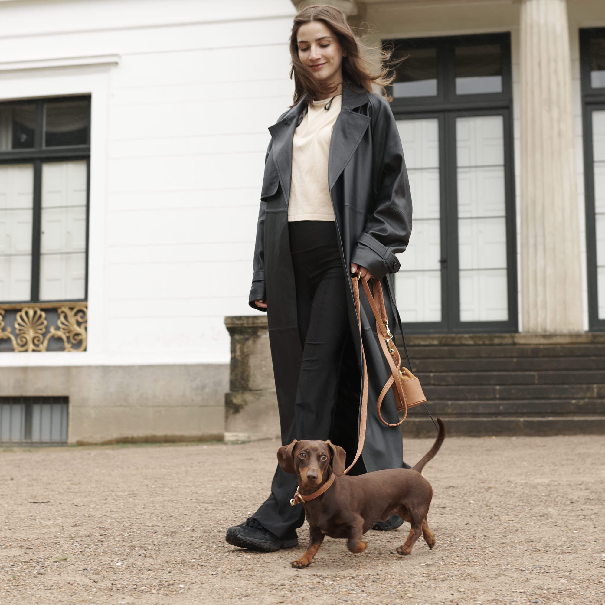 William Walker Prestige Bundle