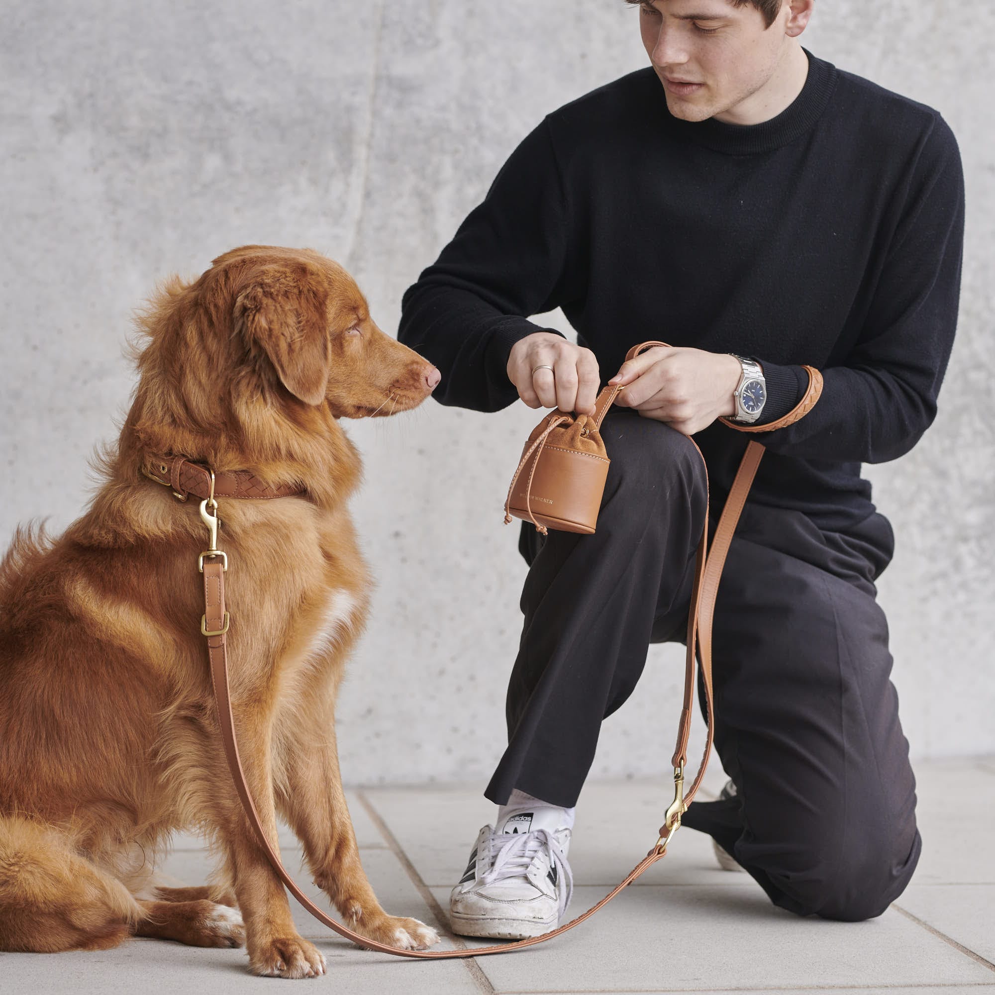 William Walker Hochwertige Leder Hundeleine Prestige Caramel