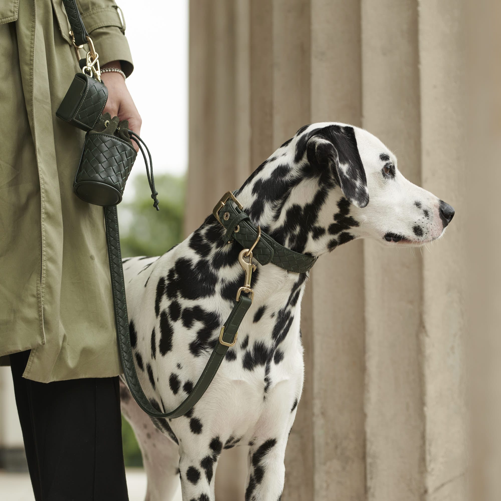 William Walker Hochwertige Leder Hundeleine Prestige Forest (Waldgrün)