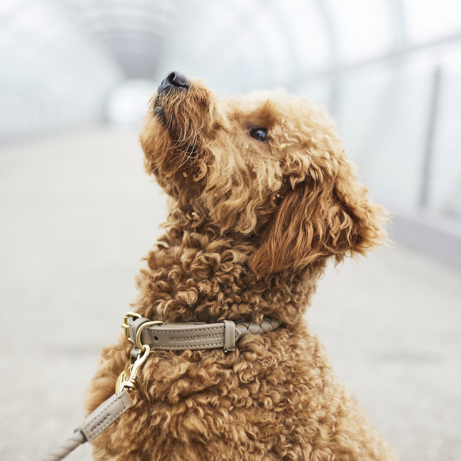 William Walker Twisted Bundle_New