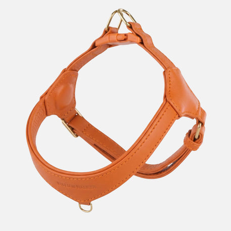 William Walker Harnais Step-In en cuir Pico pour petits chiens Amber (orange) / 1
