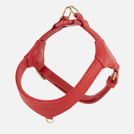 William Walker Harnais Step-In en cuir Pico pour petits chiens Chili (rot) / 1