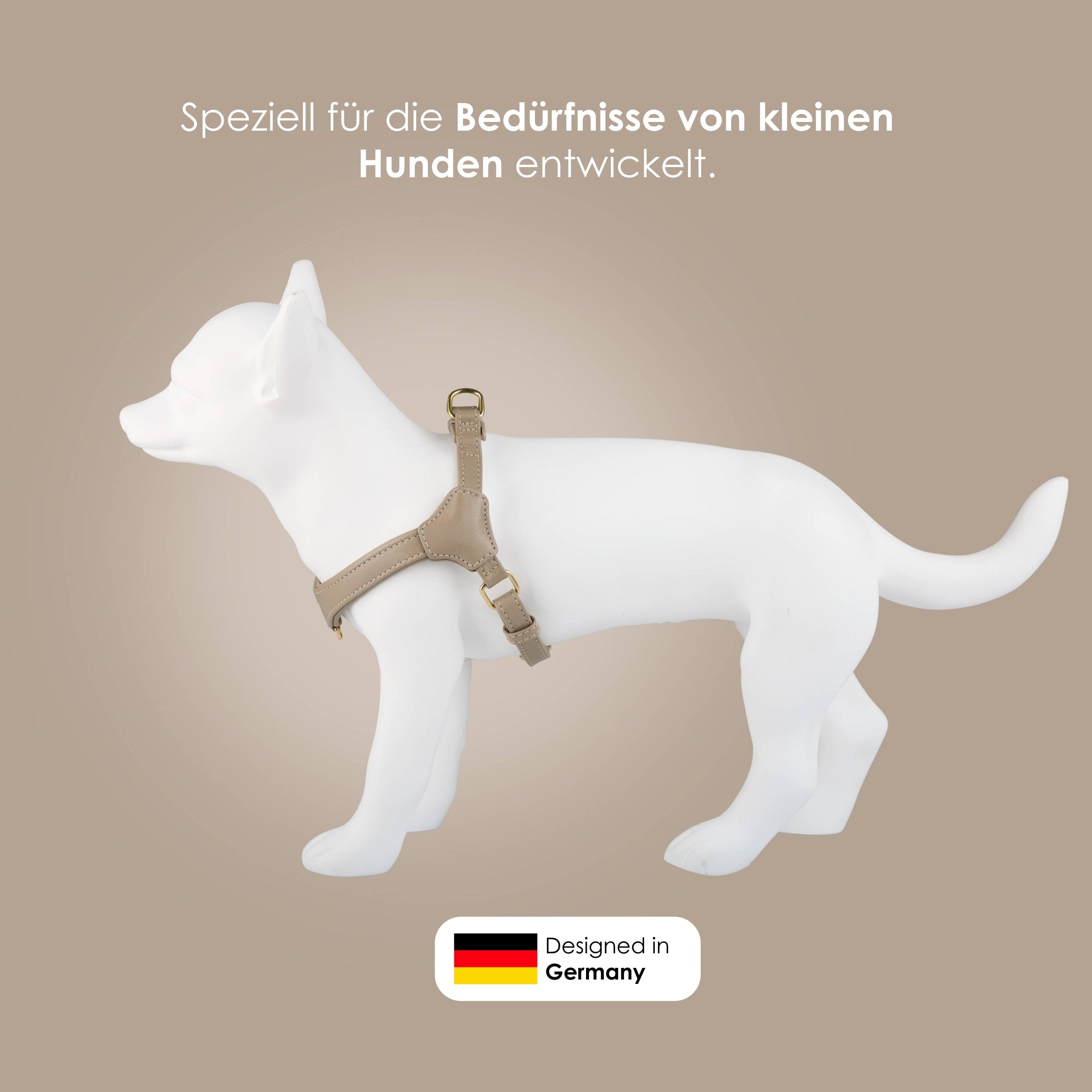 William Walker Step-In Leder Geschirr Pico für kleine Hunde