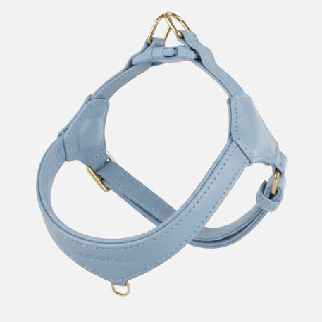 William Walker Harnais Step-In en cuir Pico pour petits chiens Sky (hellblau) / 1