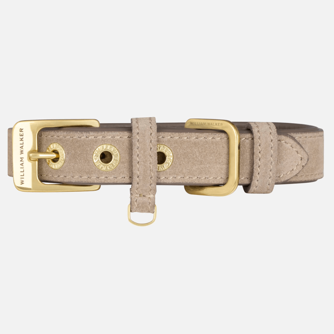 William Walker Wildleder Hundehalsband Pebble (Taupe)