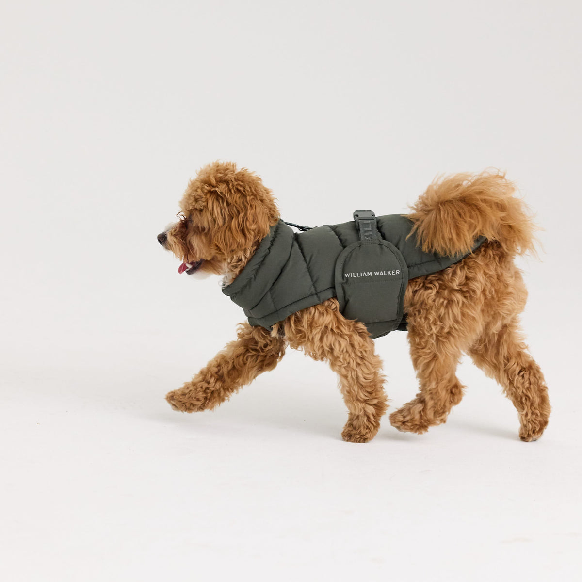 William Walker Manteau d'hiver chaud pour chien Alpine