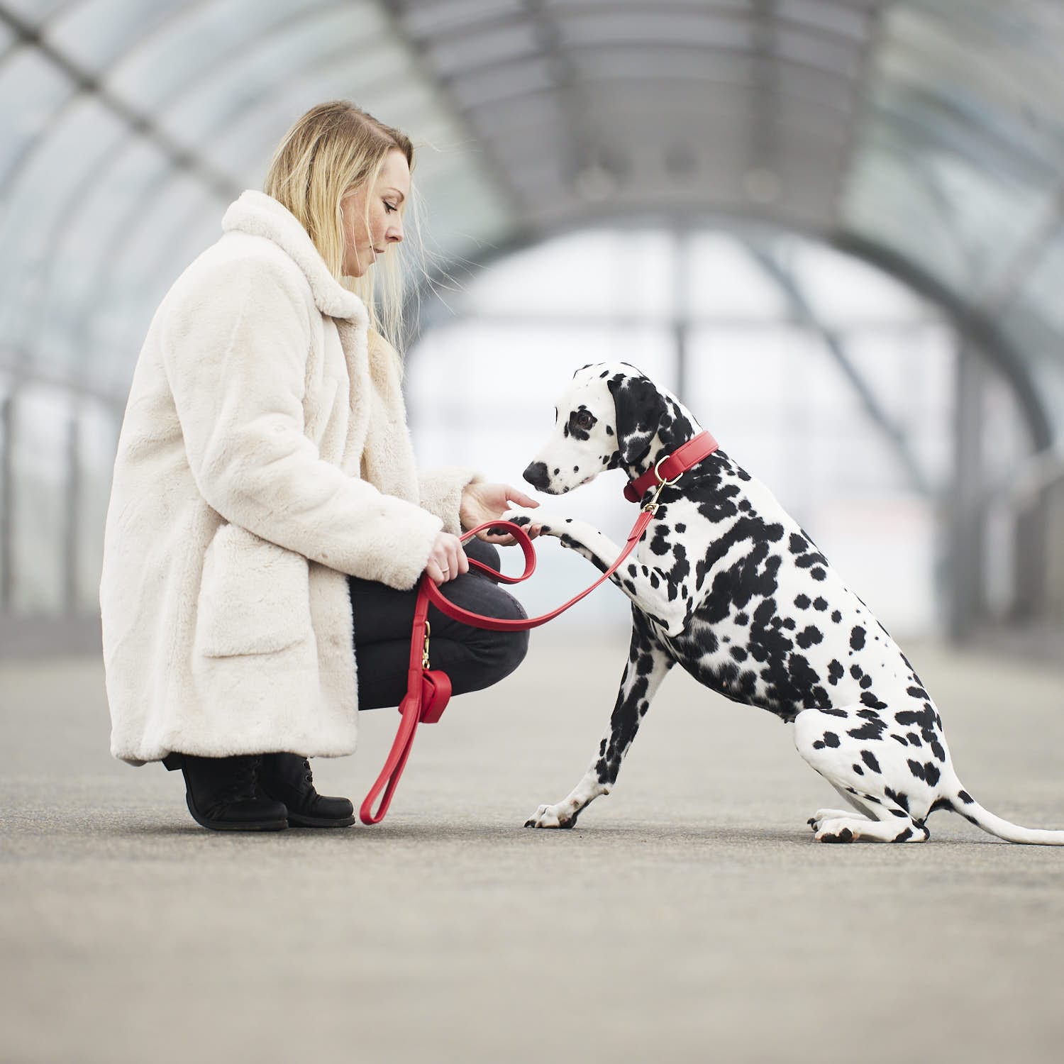 William Walker Kotbeutelspender Chilli
