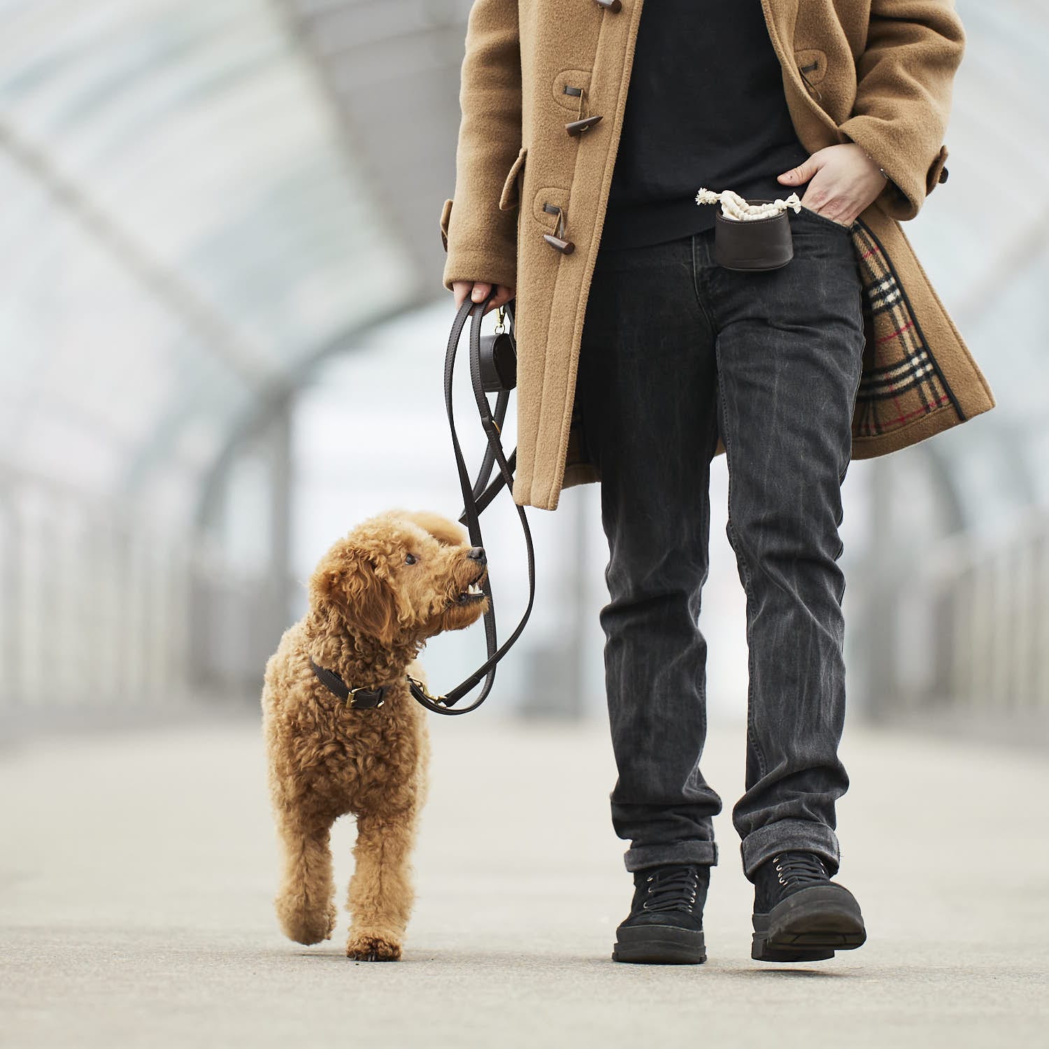 William Walker Leckerlibeutel Earth