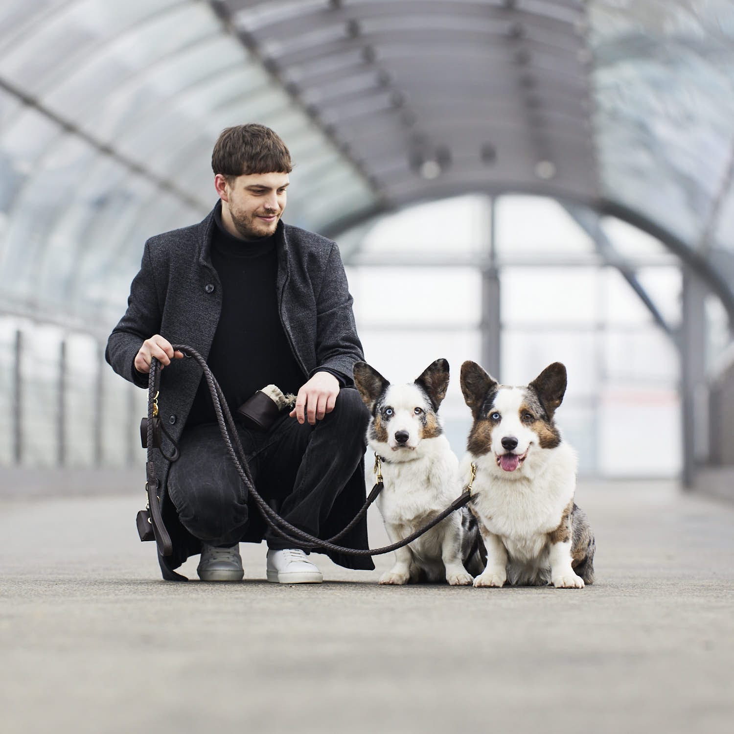 William Walker Hundeleine Twisted Earth